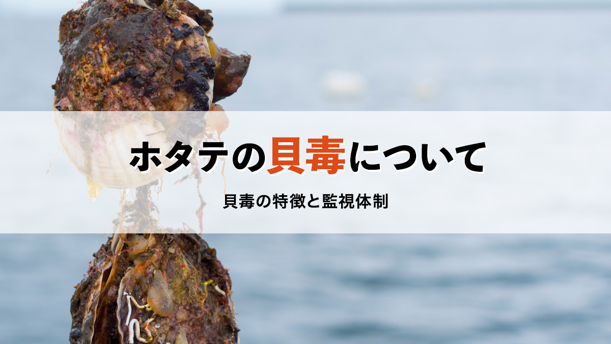 ホタテの貝毒について